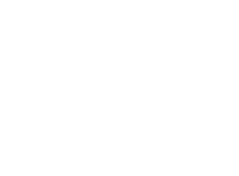 Bata